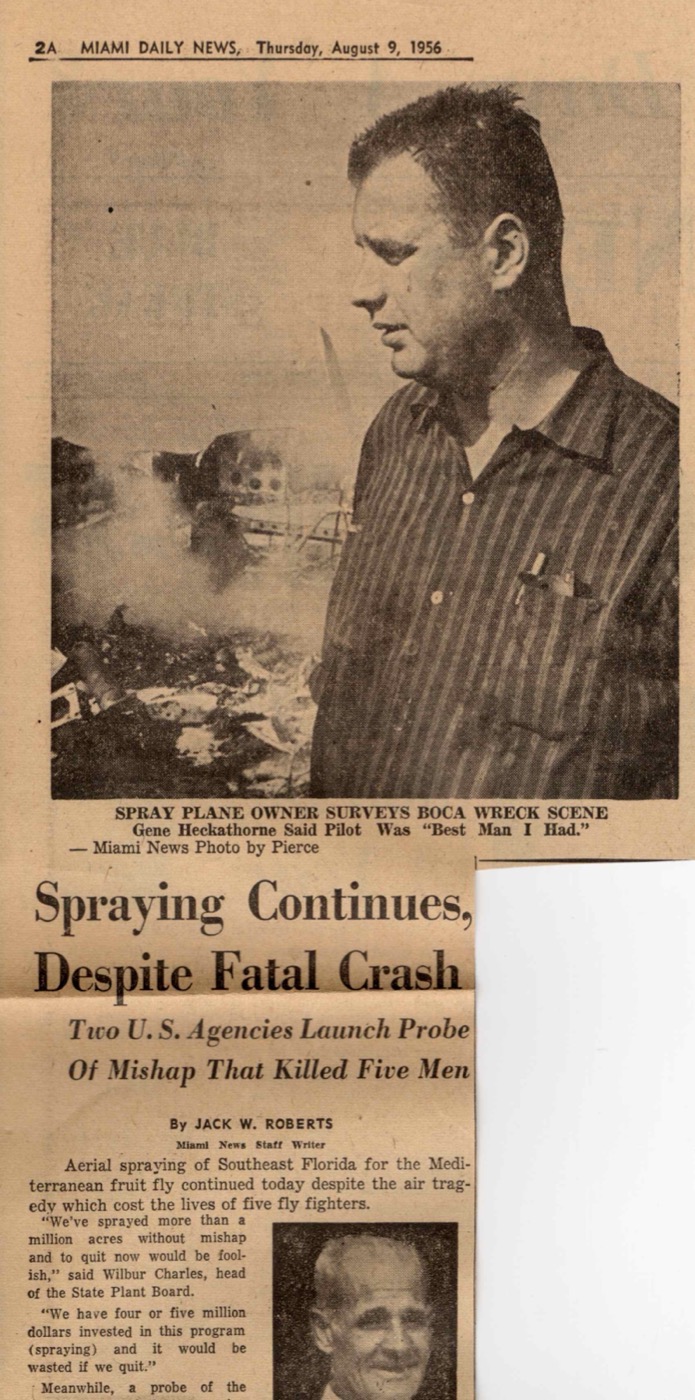 War on the Med Fly