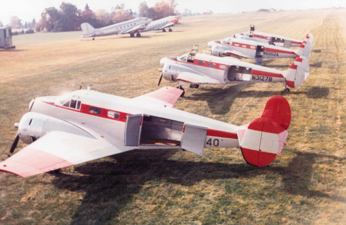 The Gypsy Moth campaign