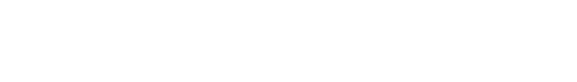 Dynamic Aviation